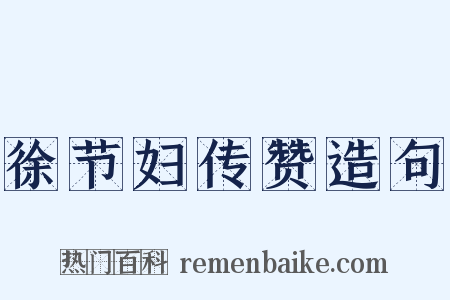 徐节妇传赞造句是什么意思的图片